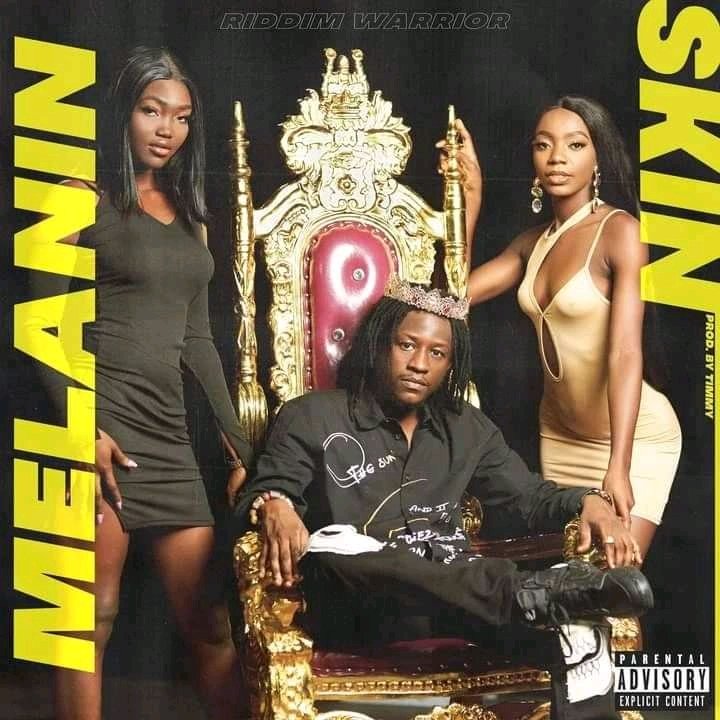 KofiSilas_'s tweet photo. Get on high vibes with #MelaninSkin by @RiddimWarrior 

Chune up like 7 🔥🎶
Available on all digital streaming platforms. https://t.co/fY7qsdaMzd