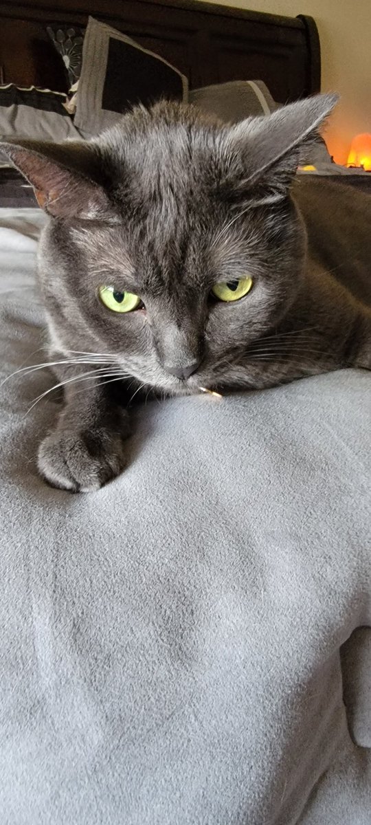 Rudedeck's tweet image. Decker checking in from Eastvale (Calif) with a Panther named Teemu on the @NHL app. #WorldFamousTwitterSegment #TimeToHunt