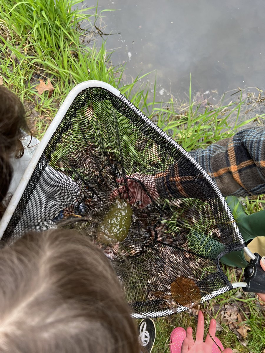 MitchellReg14's tweet photo. The Second Grade took a wonderful field trip to Flanders. We learned about different habitats and organisms. https://t.co/wr9wciVq5J