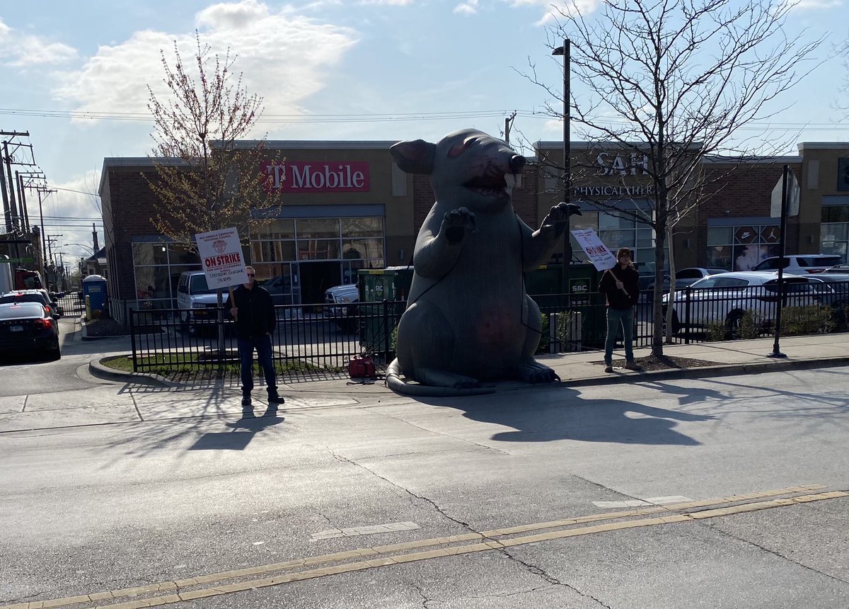 MidAmCarpenters's tweet photo. Busy week for the #Local54 crew picketing for area standards against two out of state contractors: Interior Glazing Systems at 5521 S. Kedzie and
National Empire Builders at 2627 W. Cermak. Thank you Brothers for fighting for local workers and fair wages. #UnionStrong 🐀 https://t.co/4zp0cHJov0