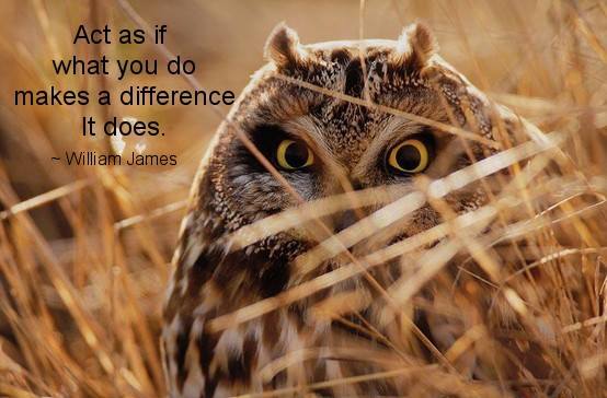 I dream of selling 3,000,000 copies of #AnastasiaandTheGhostlyOwl and #donating my #funds equally between #Childabuseawarenessandprevention #ChildreninNeed #homelessness #SuicidePrevention and #myself. e-Book available at the Apple Bookstore or ghostlyow.com!!!~ 👻 🦉