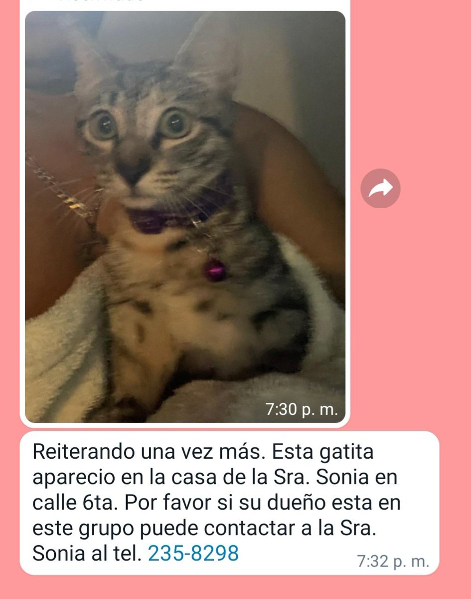 Milagros VS  tweet media