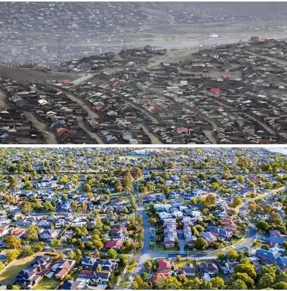 Хашаандаа ганц мод бут тарьчих л даа 🙄