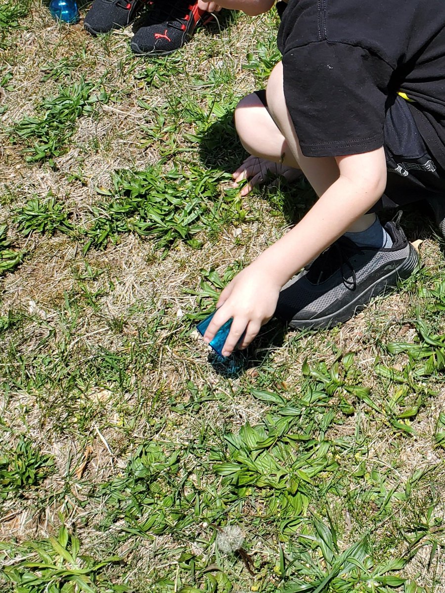 Heather Lindner tweet media