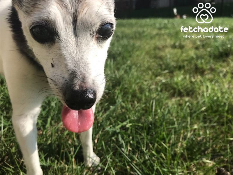 OHDogPark's tweet photo. ICYMI: "7 Ways to Comfort Someone Who Has Lost a Pet" https://t.co/OcIuaf0XpO 

#doglover #petlover #dogs #catmom #catdad #dogmom #dogdad #petlovers #euthanasia https://t.co/UJeBh4Es3j