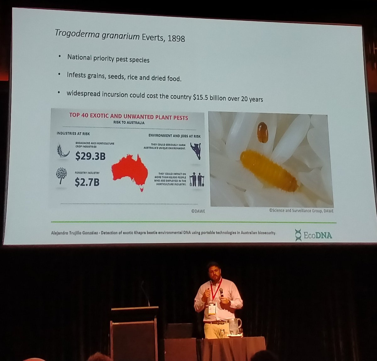 <a href="/AlejandroT_G/">Alejandro Trujillo</a> talking about detection of Khapra beetle from eDNA samples using portable technologies. <a href="/UC_CCEG/">Centre for Conservation Ecology & Genomics</a> #BioSym2022