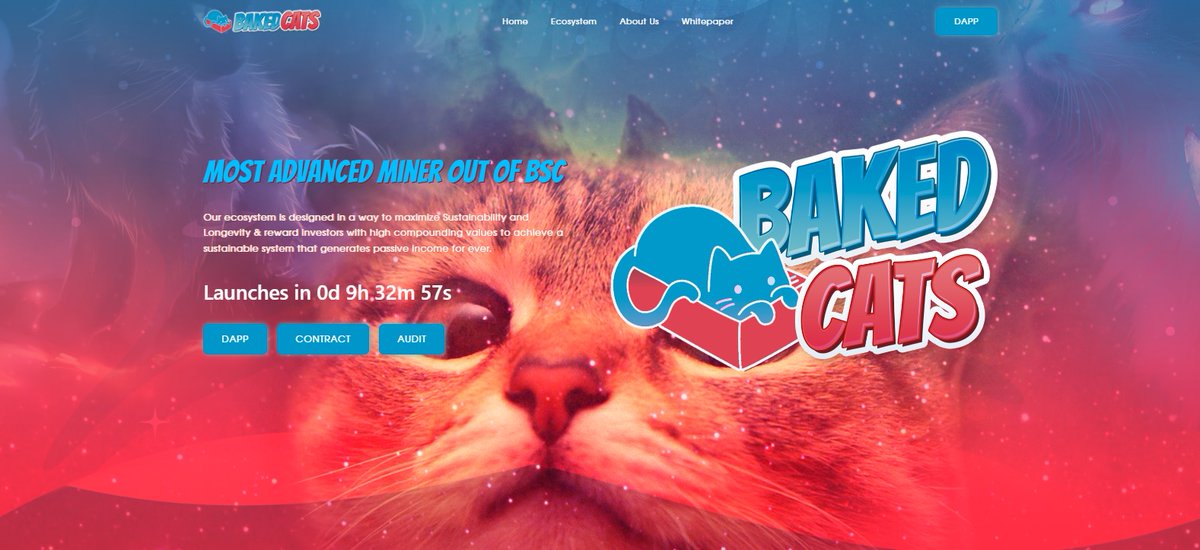 𝐍𝐞𝐰 𝐔𝐩𝐜𝐨𝐦𝐢𝐧𝐠 - #BakedCats ⏱️🐈‍⬛🫖🎩🐇🐛

😺 Up to 15% Daily ~ 5631.95% APR
😺 10% Referral Bonus
😺 9.99% Fee
😺 On the BSC Mainnet
😺 They gonna have their own Token, $BakedCats 
😺 Launch in Less then 8 Hours

bakedcats.com