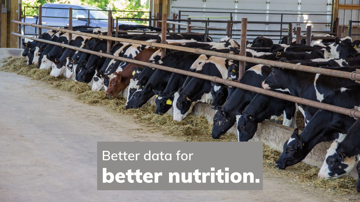 SomaDetect's tweet photo. Dairy nutrition is an important consideration and often a major cost on farm. Nutrition is the major driver for milk quality and quantity, as well as overall cow health and reproductive ability. 👉 https://t.co/bCVhlooXqV
#SomaDetect #SomaDetectTechnology #dairytechnology https://t.co/8PESYyaaFz