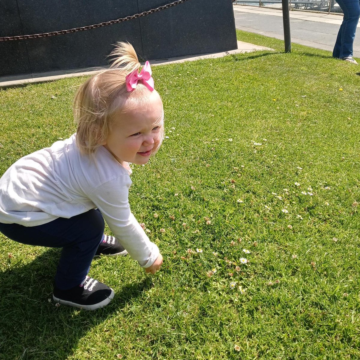 Becca Fox Author tweet media