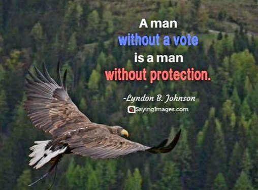 lorax58's tweet photo. #GIFTv
This may be the last election in which we even get to vote. Once a right is removed it's rarely reclaimed. GOP has created laws to restrict votes &amp;placed officials to subvert OUR vote.When GOP steals power USA loses individual rights .GOP needs to be voted out 2022.
#GIFTv https://t.co/9PEGqw8X4m