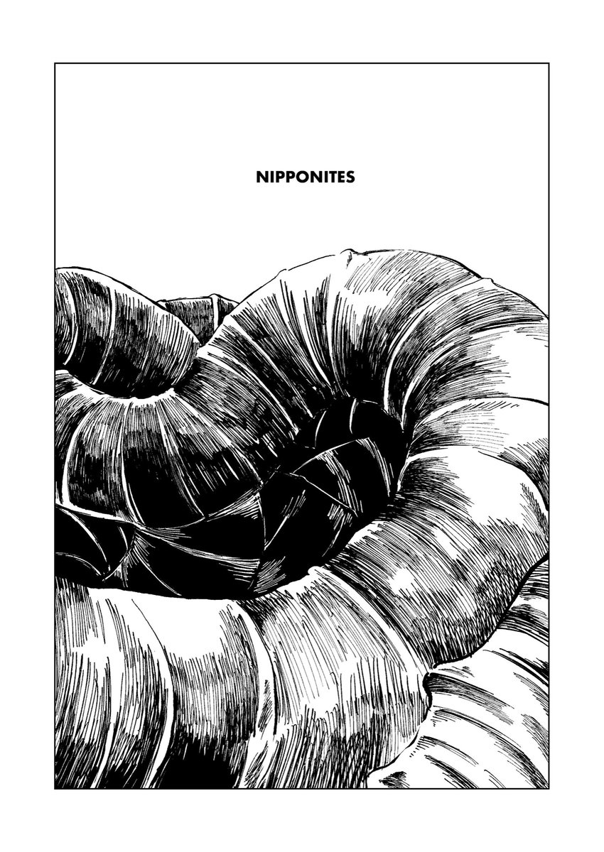 明日のコミティア140で頒布する漫画『NIPPONITES(ニッポニテス)』のサンプルです。ねじくれた化石の話です(1/2)
#コミティア140 
#COMITIA140 