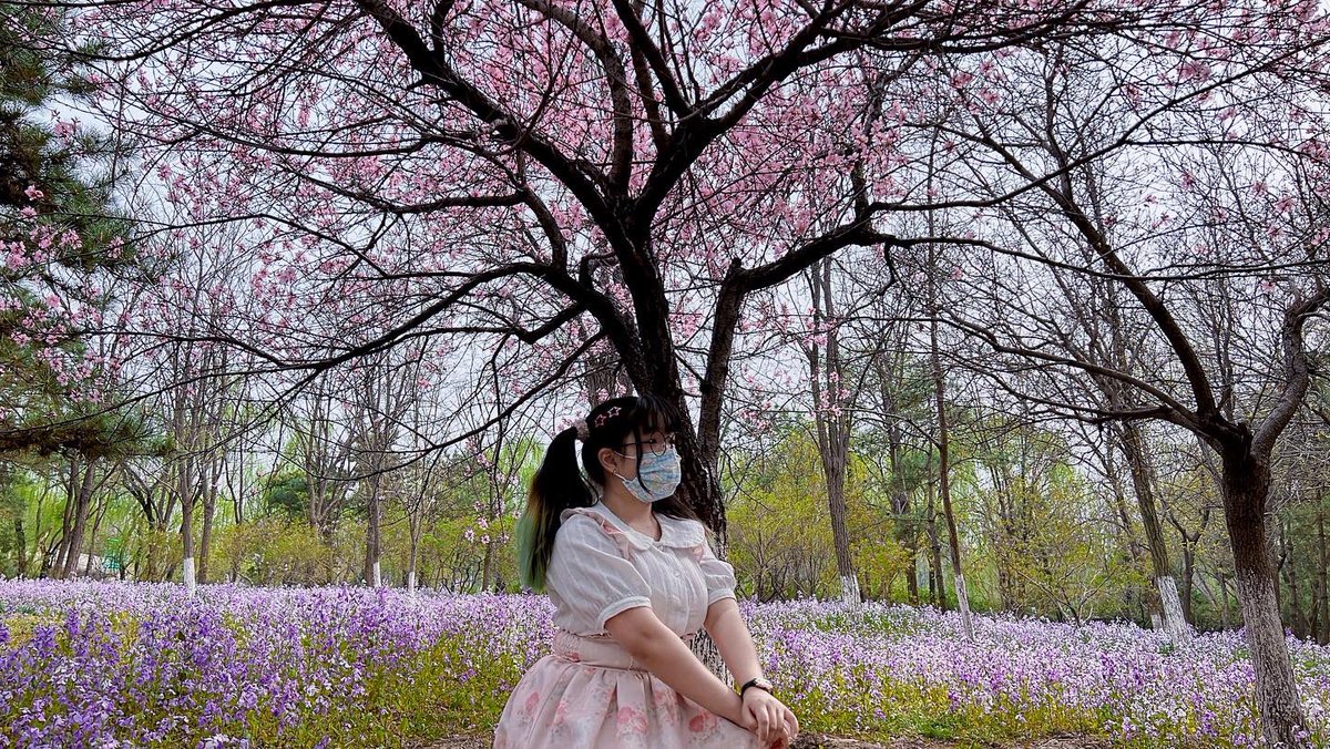 Milk_Princess_Q's tweet photo. 🌸🌱春日花事✨ https://t.co/FSsHYCq5sM