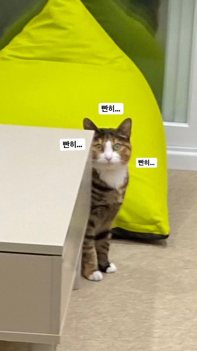 v2soo2's tweet photo. 인스타 스토리에 올렸던 빤히… 시리즈 https://t.co/EVqSq4NzHR