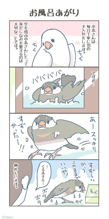 文鳥さんまんがを描いています^v^
 #ゴールデンウィークSNS展覧会2022 