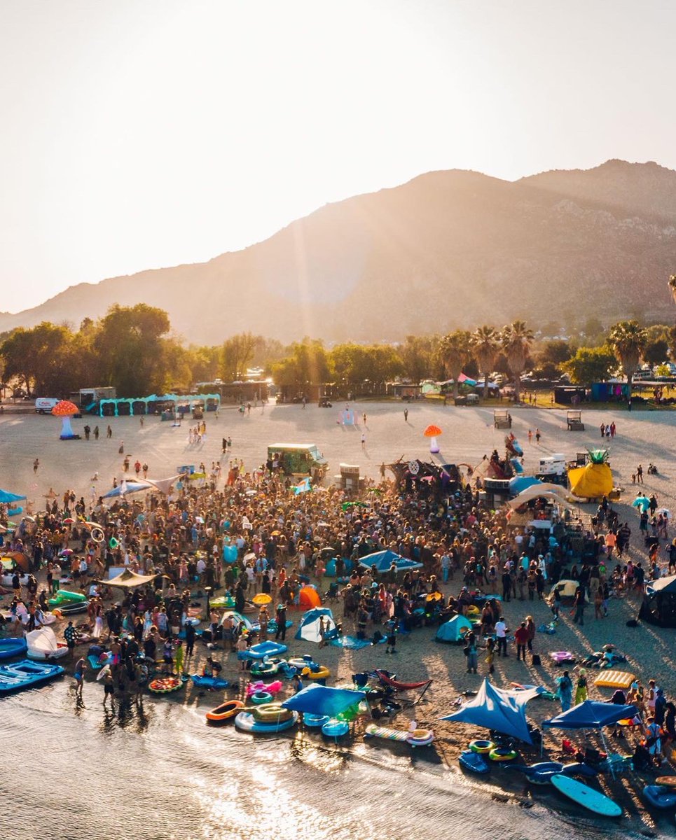 Mikey Lion tweet media