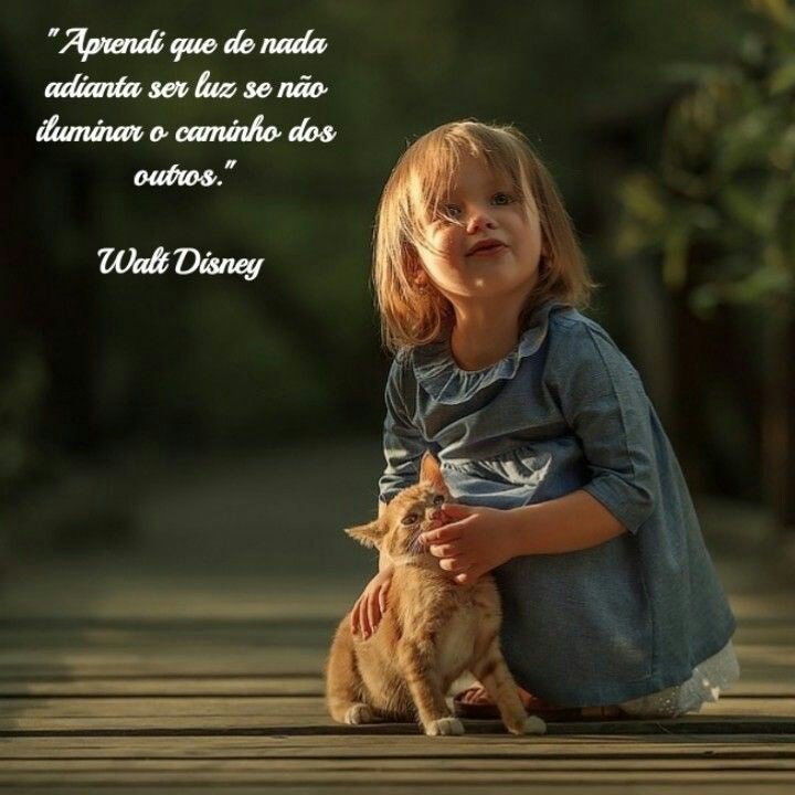 Jhozz321's tweet photo. #QuartaDetremuraSDV https://t.co/TGEaS5pbM6