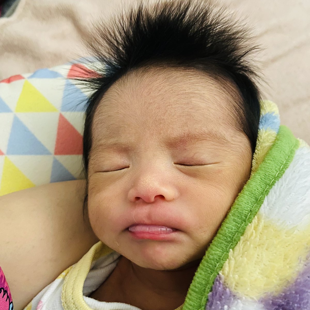 つげゆみ Tsugeyumi Twitter