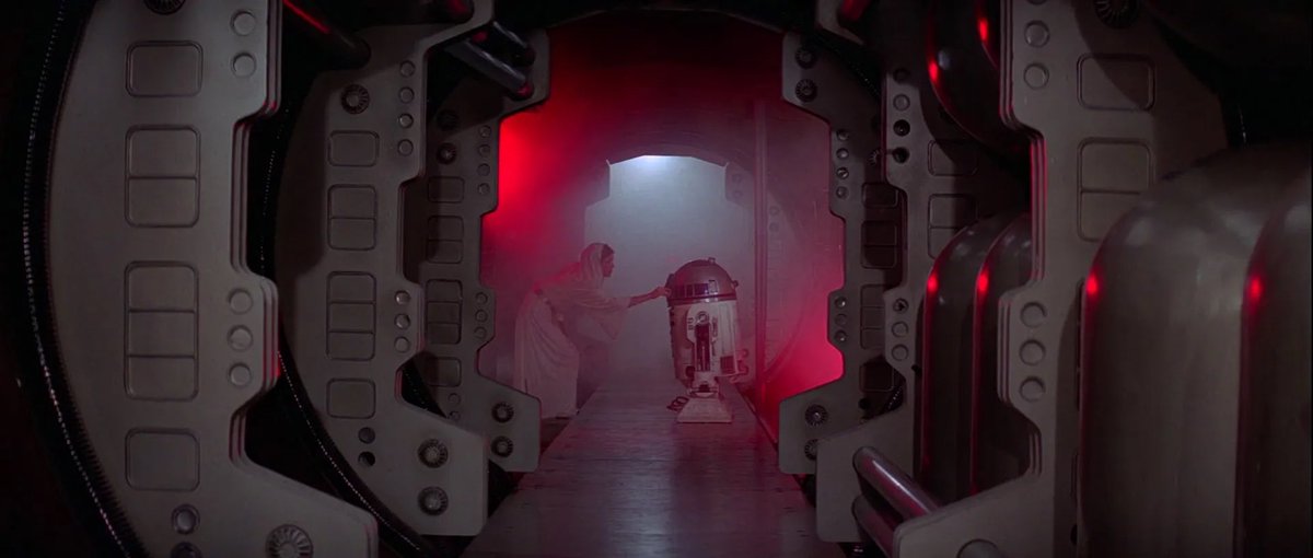 bestofleia's tweet photo. may the fourth be with you https://t.co/g29iHVHyZh