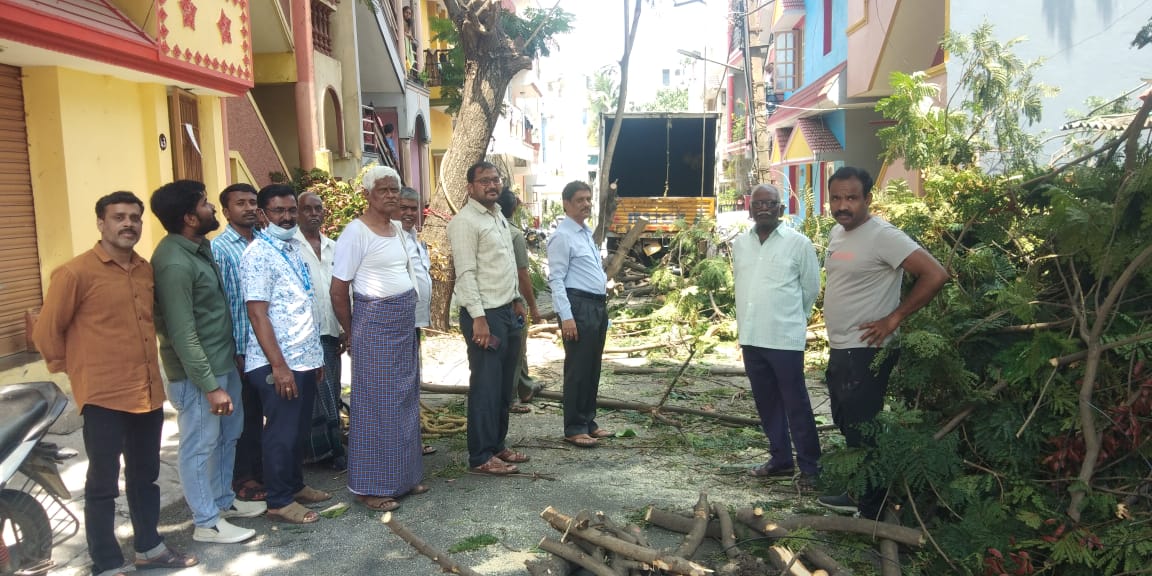 EenorthW's tweet photo. Good afternoon sir, we inspected the spot were tree had fallen on the LT line near subanagarden,N2 s/d marenahalli with AEE sir.The power has been restored. https://t.co/DNk42kTBxC