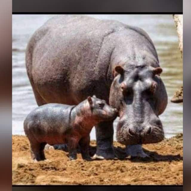 wanderlust_ug's tweet photo. For the love of nature https://t.co/TLlrzu0kCg