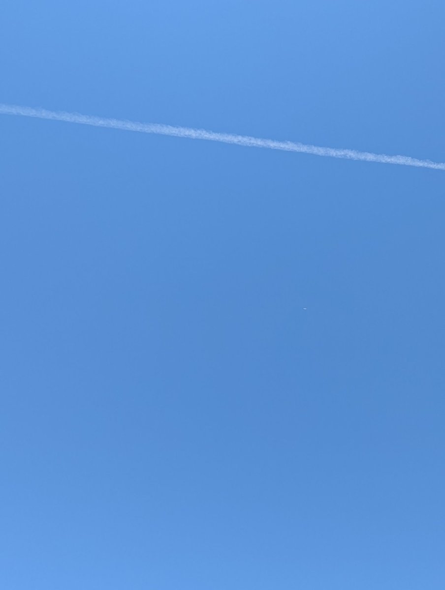happysong1020's tweet photo. #今日の空
こんにちは☀️

夕べはルナキャスに来ていただいた方々本当にありがとうございました☺️❤️

さっきお買い物に行ったんですが、道中あちこちやたらと カラスが飛び回って鳴いてます（今も外で鳴いてる）
何かの前触れ?😅

それにしてもいいお天気🔆
森林浴行きたい🎶

素敵な一日を🤗🍀 https://t.co/czUamj4nLl
