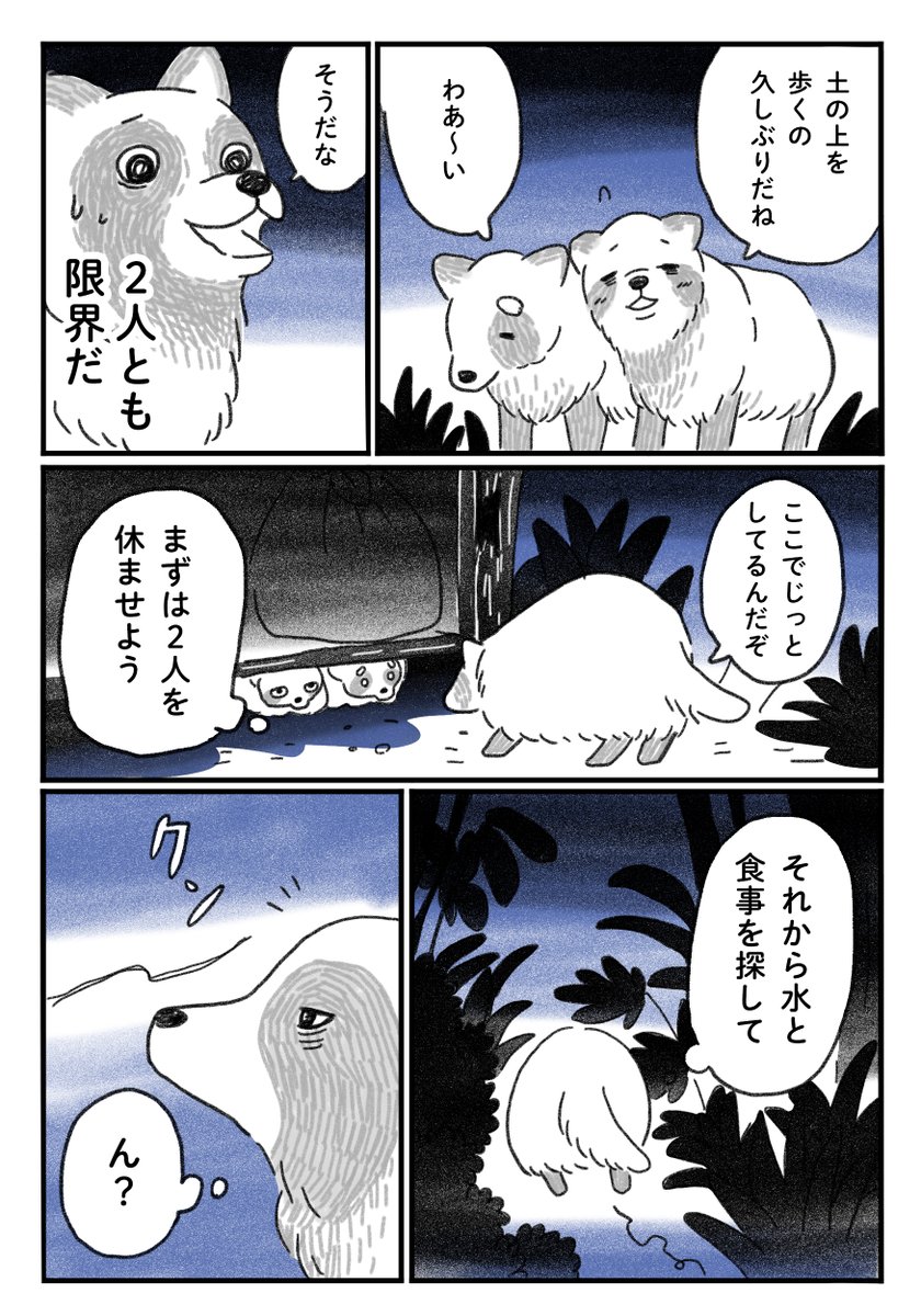 <たぬきのタマ>❻
都会に生きるたぬきの兄弟の"タマ"のお話🦝

続きは来週木曜、21時です🌃
まった来週〜🥳 