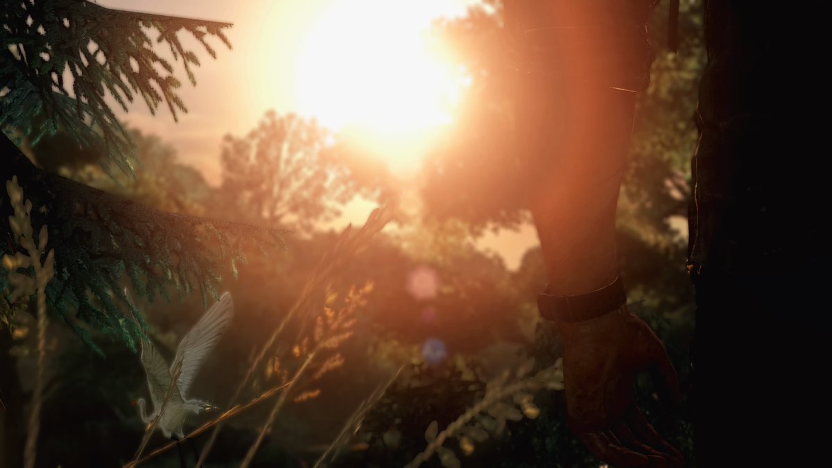 tloufan's tweet photo. LOOK FOR THE LIGHT #tloufan #joel #tlou #PS4share https://t.co/3USZIhUH0f