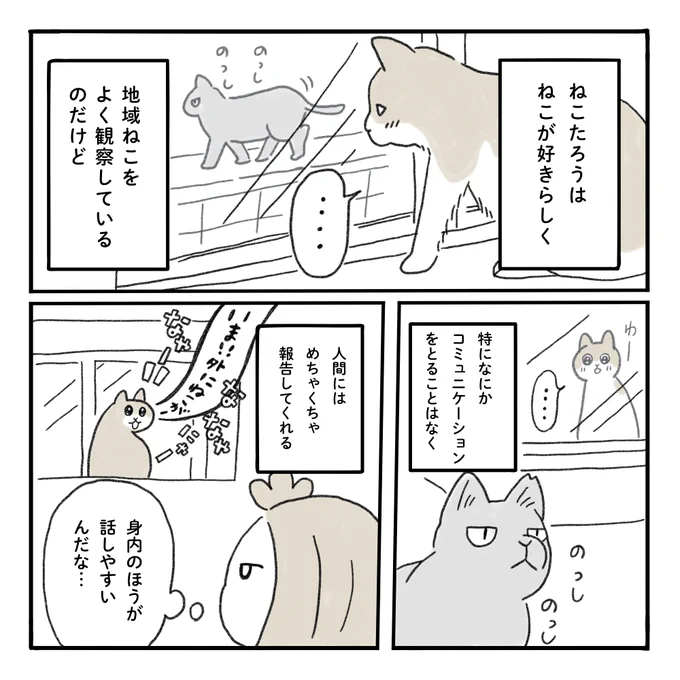 うちのねこ陰キャかもしれない🐱

#みちこの日記   #コルクラボマンガ専科 #猫のいるくらし 