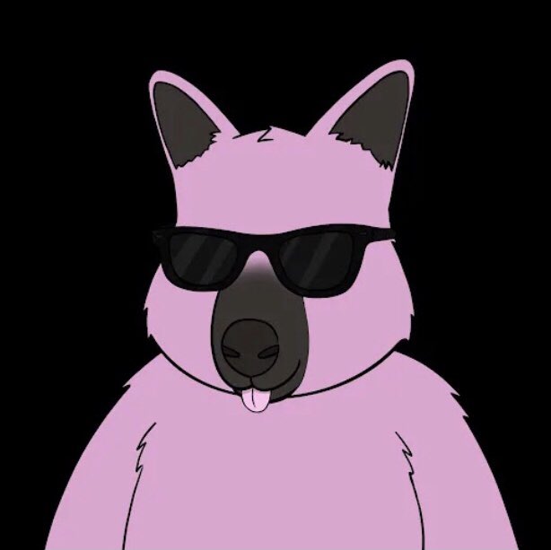 BigSkyRiza tweet media