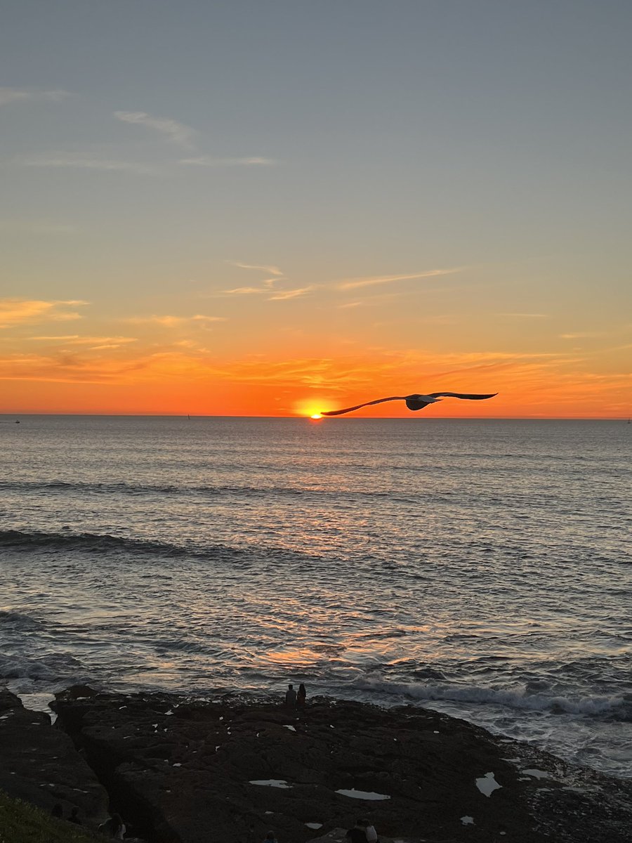 NFTsunsets's tweet photo. https://t.co/wZ8G5iwp9U