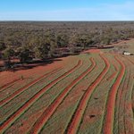 Image for the Tweet beginning: Interested in how agriculture and