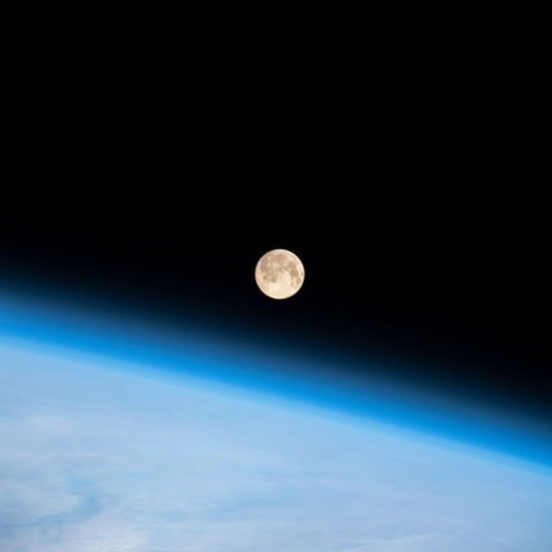 RSpaceBoy's tweet image. #Robotoken #NFT