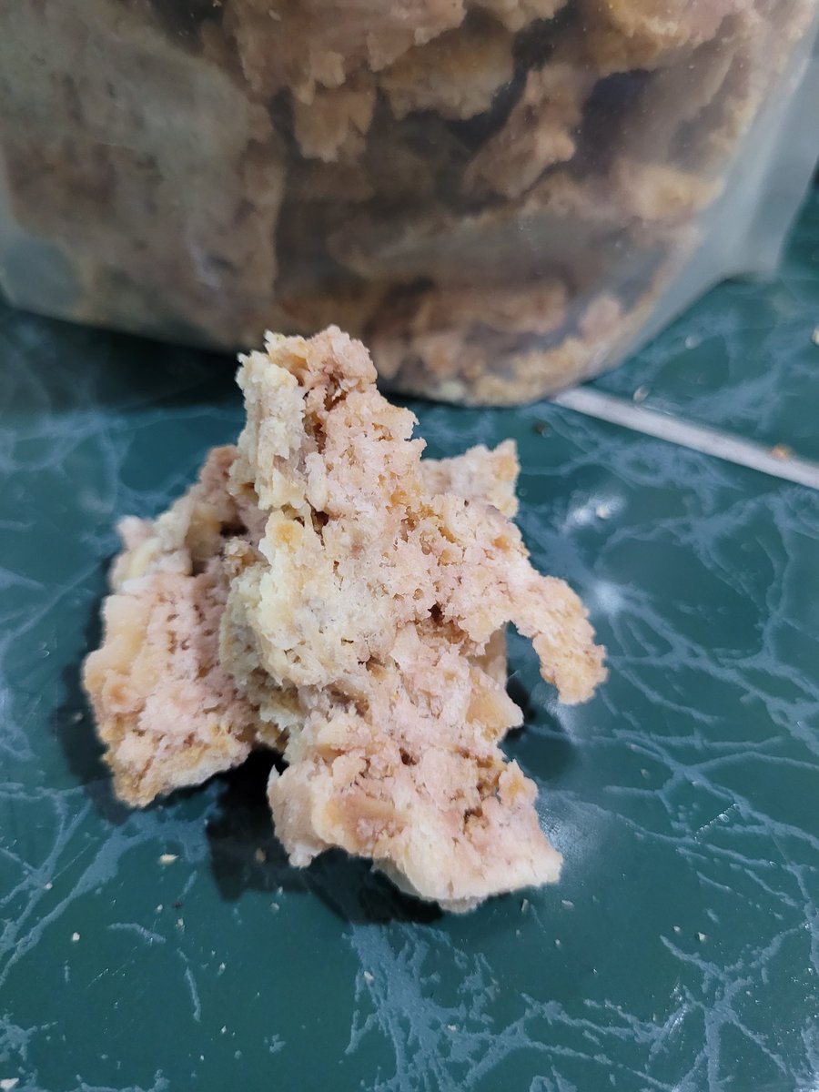 FRANCIS ⚜️ BULLBITCOIN.COM tweet media