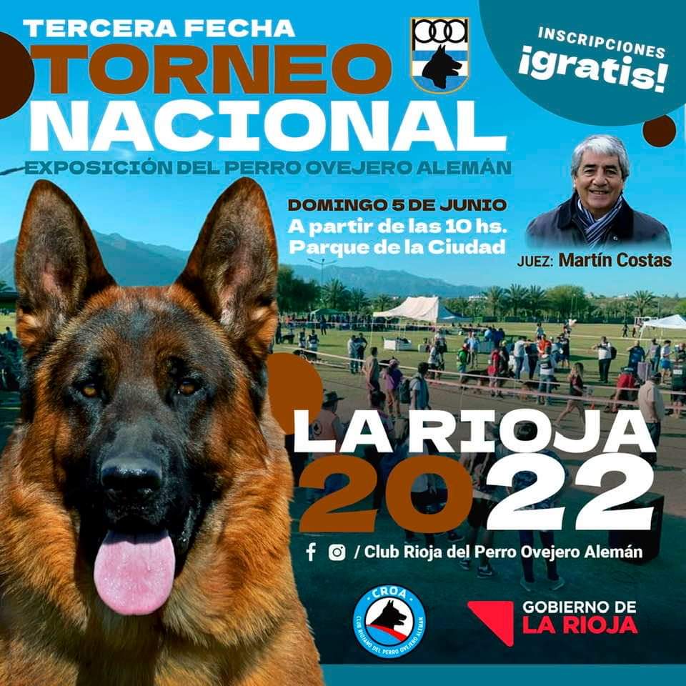 Del Sueño Dorado (@dorado1sueo) on Twitter photo 