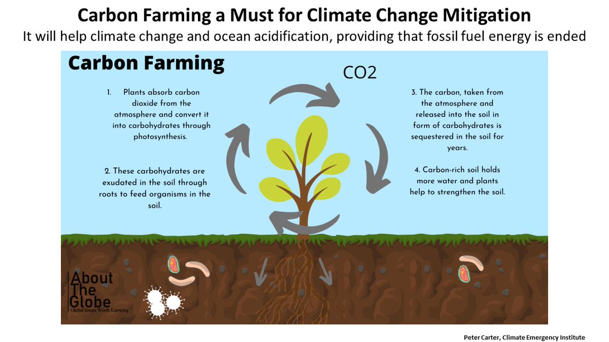 CARBON FARMING Climate change solution or greenwashing? A must because food production is a source of 30% global emissions. 
 3 May 22 Good article  on good EU project #climate
dw.com/en/carbon-farm…