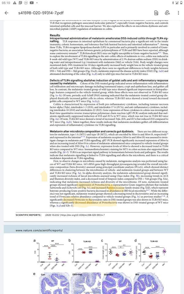 fpoli62_poli's tweet photo. MELATONINA VS MICROBIOTA INSTESTINALE
La #melatonina ,assai preziosa in questo periodo perché stimola il #glutatione e l'#interferone (ad azione antinfiammatoria e antivirale),agisce sul #microbiotaintestinale curandone la disbiosi;ciò potenzia la risposta immunitaria antivirale! https://t.co/dfbBtPPvzU