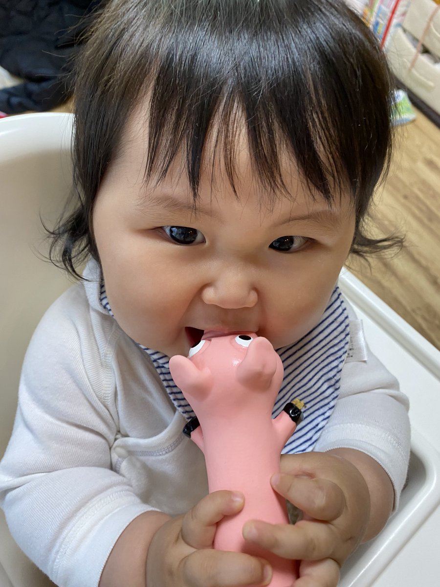 新しいおもちゃを買ってあげたらとっても嬉しそう。 #9ヶ月 #赤ちゃん