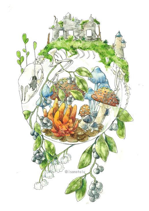 no humans mushroom white background simple background food fruit leaf  illustration images