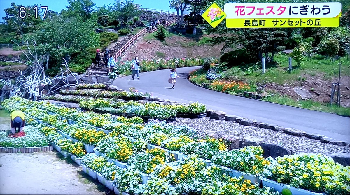 長島町 Twitter Search Twitter