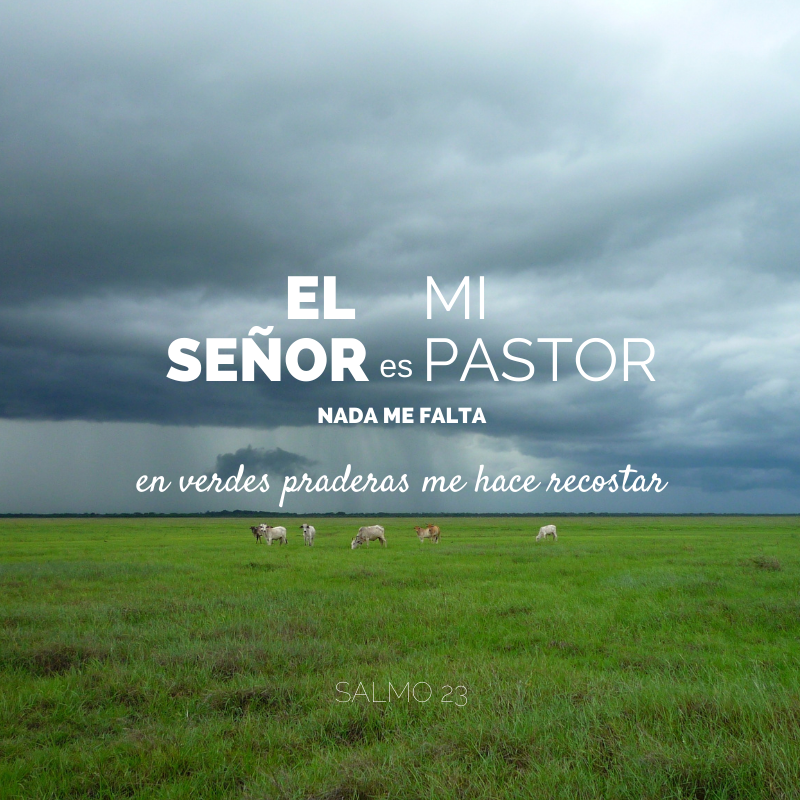 JesuitasESP tweet picture
