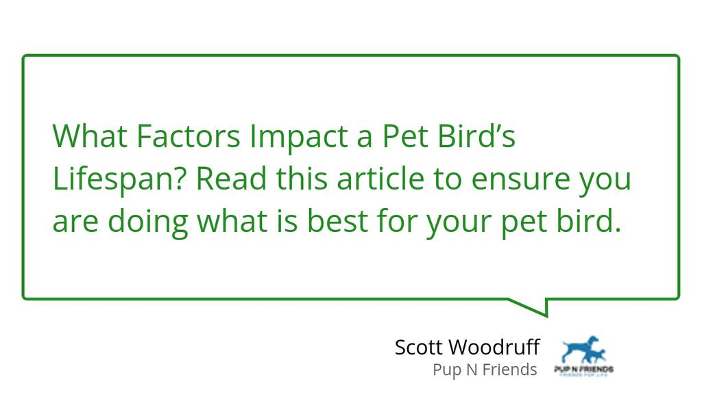 PupNFriends's tweet photo. While macaws can live to be over 70 years in the wild, their lifespan in captivity is closer to 45 years.

Read the full article: How Long do Pet Birds Live?
▸ https://t.co/CUdMwEhebP

#PetBird #Birds https://t.co/8CdKH5W5JH