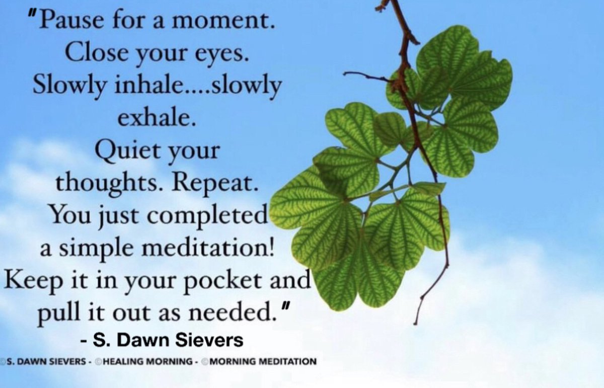 sds2965's tweet image. Morning meditation™️. This simple meditation can be done in mere seconds, or it can last for as long as needed. Give yourself this gift throughout the day! ✨

#HealingMorning™️  #MorningMeditationArchives™️  #SimpleMeditation  #BeGoodToYourself