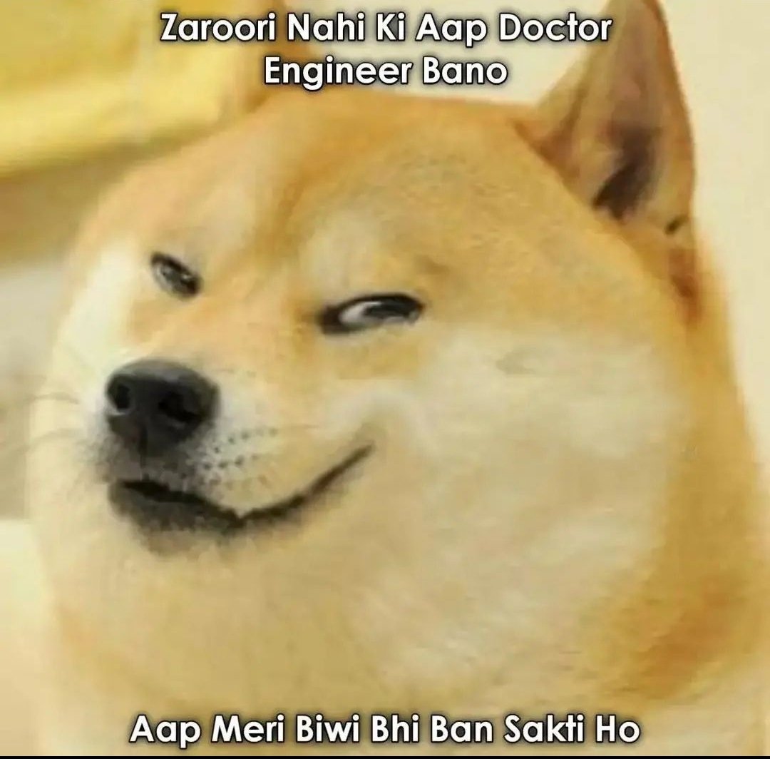 indiandogesh's tweet photo. Pamdhaibaamzi @indiandogesh https://t.co/zqpy2lyPQu