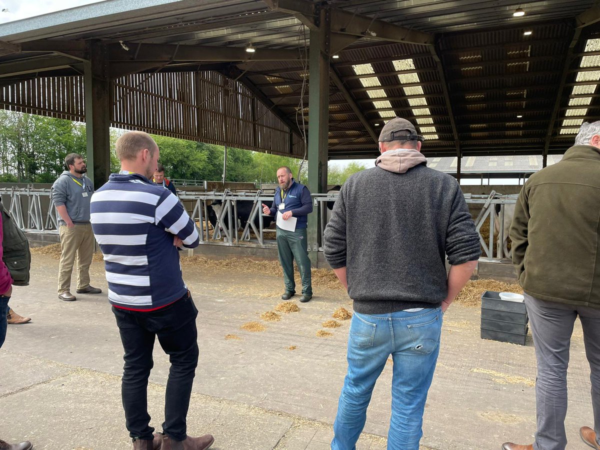 ARN_Home's tweet photo. Straw chop length and mix consistency matter, particularly in high straw dry cow diets.  Will Tulley demonstrating...
https://t.co/rUNrQaVAqA

#drycowdiets #highstraw #transitionmanagement #AdvancedNutrition https://t.co/igboRhoDBi