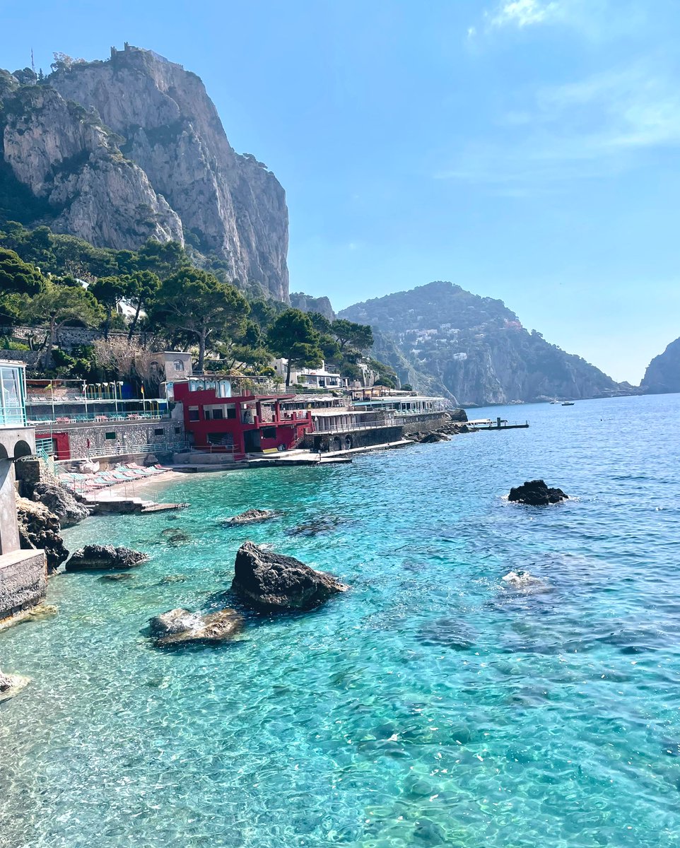 maverick tweet media