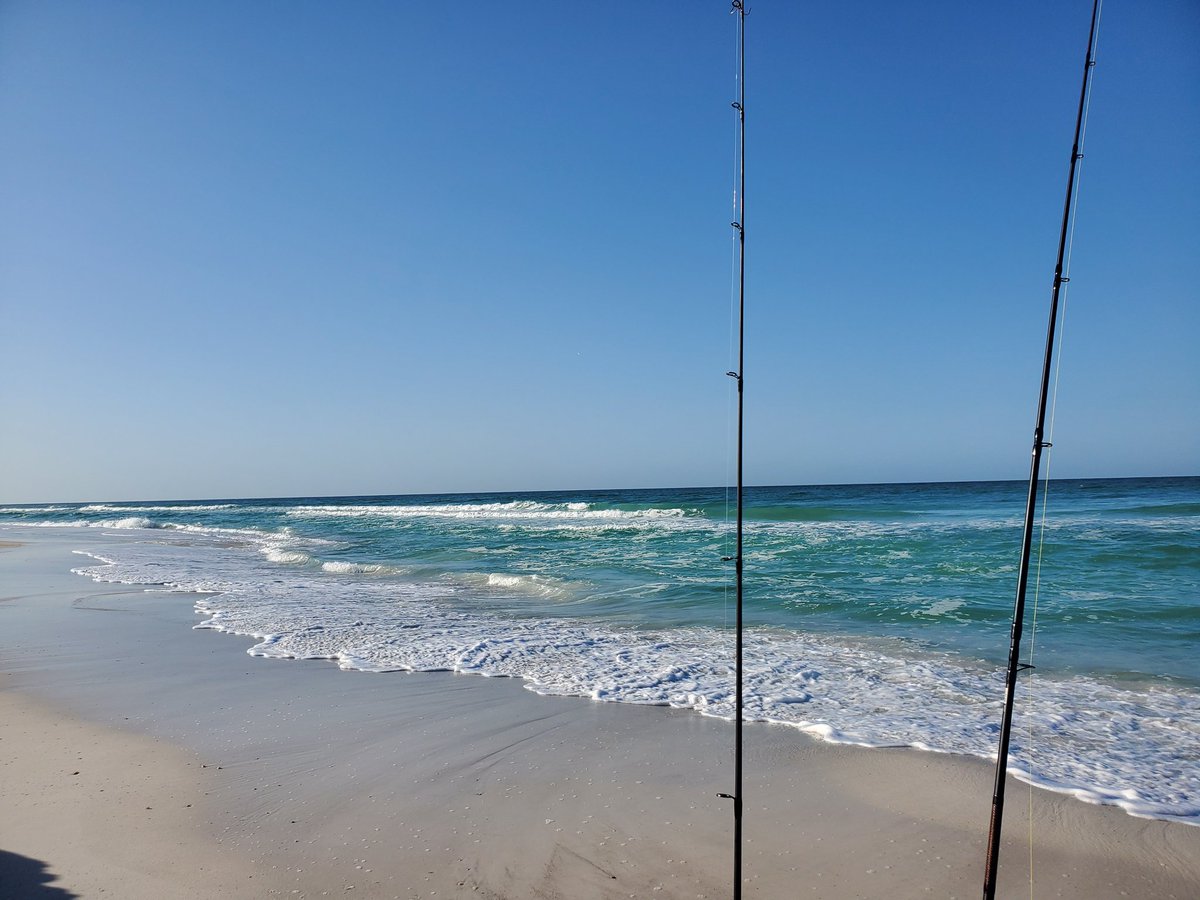 FishingTurdle's tweet photo. https://t.co/f6O0BZZy8L