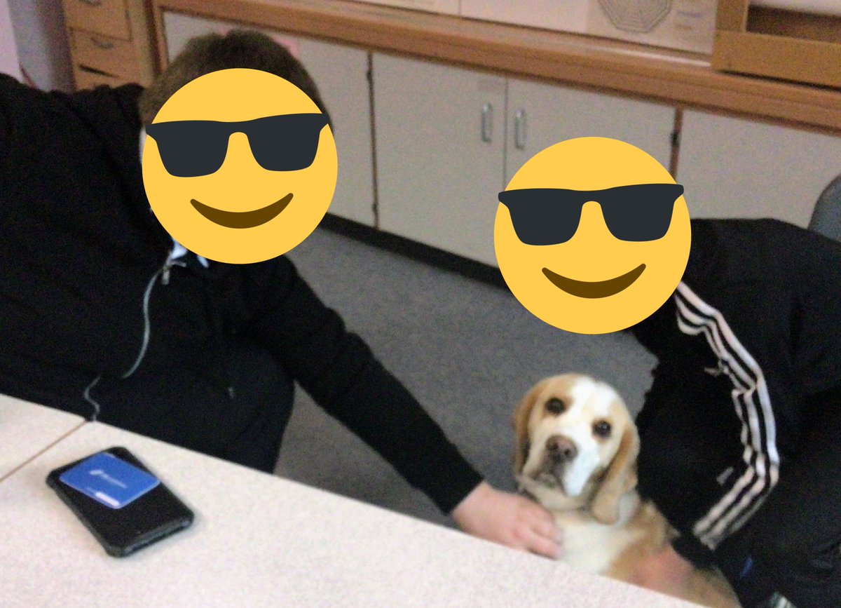Some of our S2 boys enjoying their time with the newest member of the #Nurture gang, Junior. 🐾🐶 #Wellbeing #Therapet #Article31 #BeaglesofTwitter