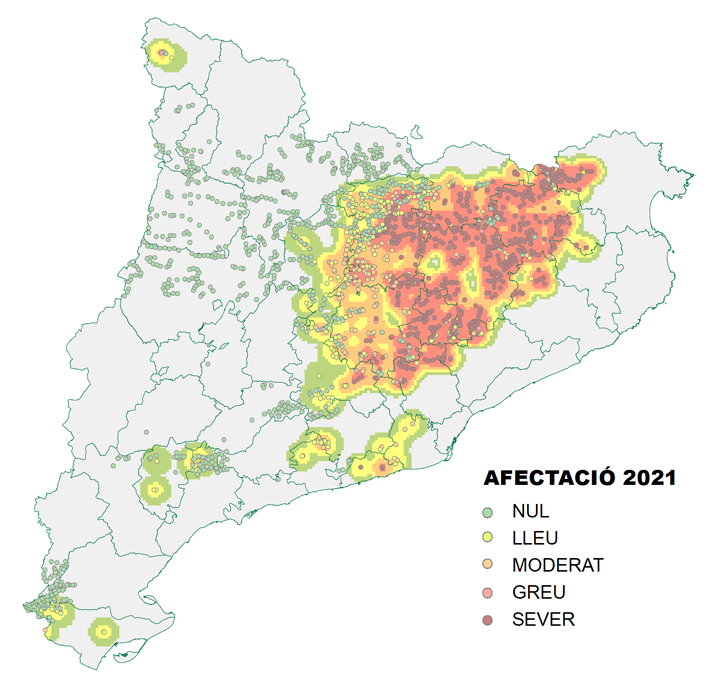 ObsForestCAT's tweet photo. Refem i actualitzem mapa i taules de l'afectació de la #papallona del #boix a Catalunya el 2021, amb 5 punts de mostreig de la Vall d'Aran.
Afegim també l'evolució de la superfície afectada.

👉https://t.co/fKw722D08G

@agentsruralscat @agriculturacat https://t.co/IOtdJp99nU