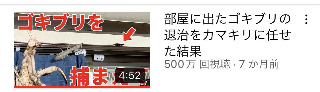 ありがたいことにダブルシールドマンティス様のお動画が500万再生突破