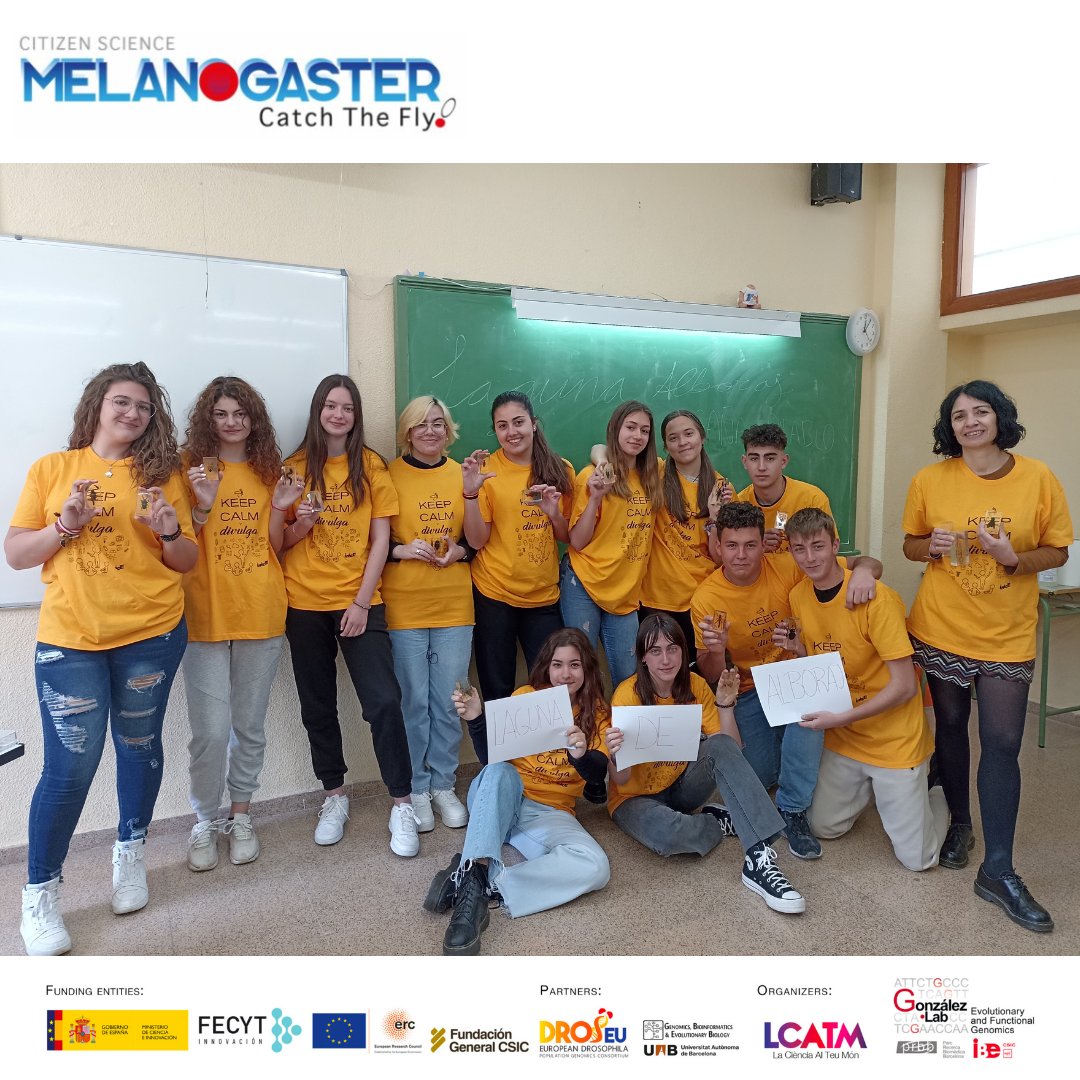 LCATMon's tweet photo. #MEETANDFLY contará con la participación de los alumnos de 1ero. de bachillerato de @iescristobalperezpas #tobarra quienes nos presentaran :
‘Los insectos en nuestra laguna’
Un estudio acerca de los daños ambientales de un humedal protegido de la zona. https://t.co/hxnjusOMhP